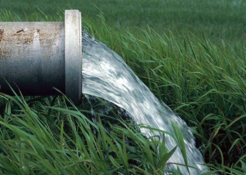 Vann renset med et biofilter kan brukes til tekniske formål