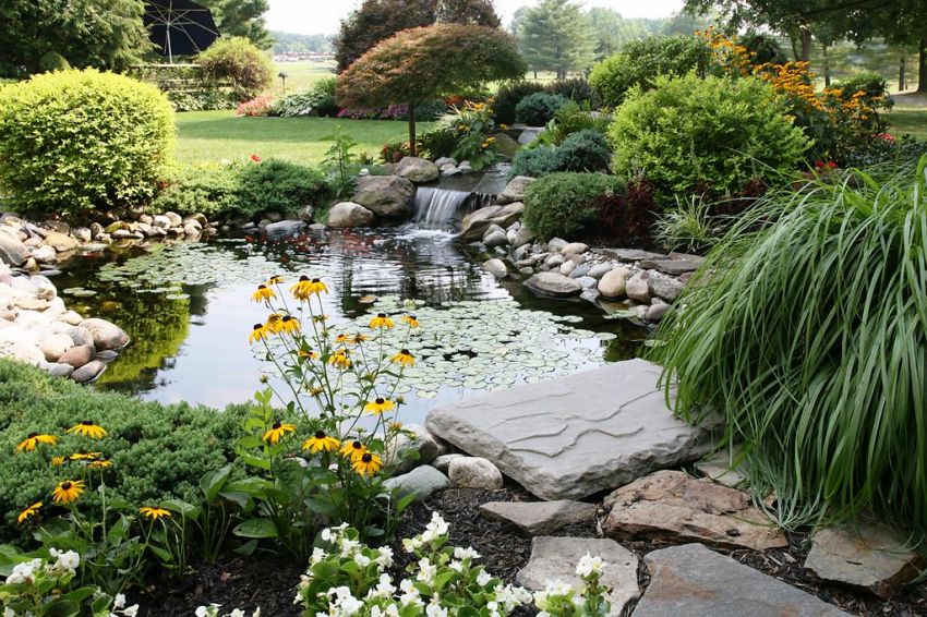 Rockery is arranged along the edges of a small pond