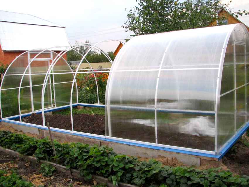 Polycarbonate perfectly tolerates significant temperature fluctuations, has good thermal insulation and protects plants from ultraviolet radiation