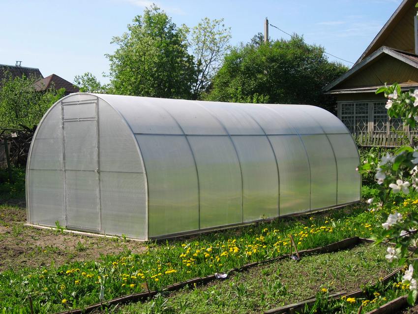 To make the construction of a greenhouse made of plastic pipes more reliable and serve for more than one season, it is recommended to use polycarbonate sheets for covering