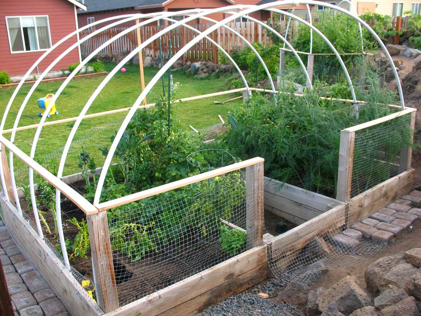 Greenhouse with a frame made of polypropylene pipes