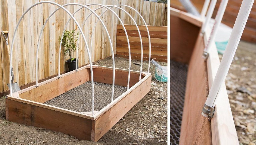 DIY PVC pipe greenhouse