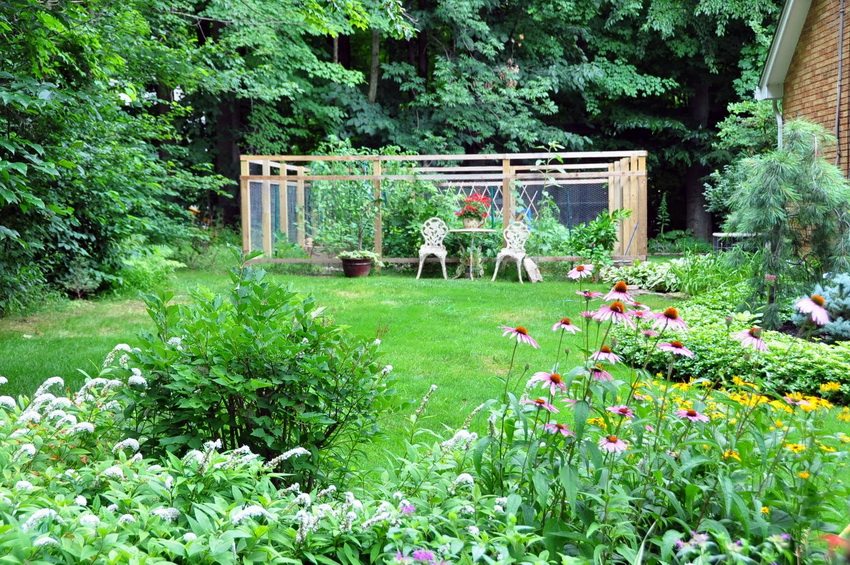 A summer cottage can be both an oasis of relaxation and a place for growing fruits and vegetables
