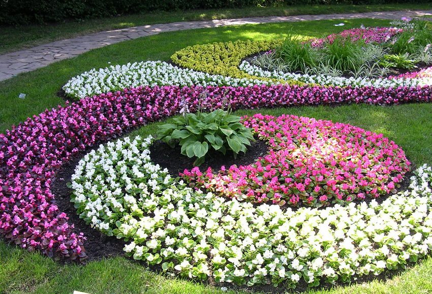 Various combinations of flowers and plant species allow you to create unique compositions
