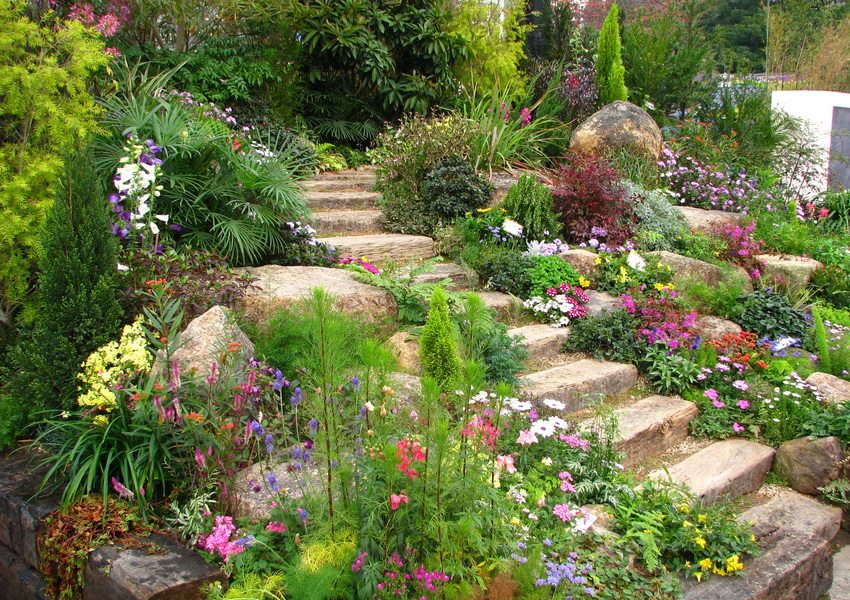 You can create a true corner of pristine nature in your garden