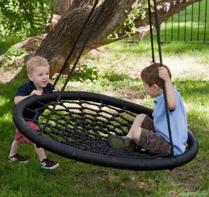 A large tree can be equipped with a swing for toddlers