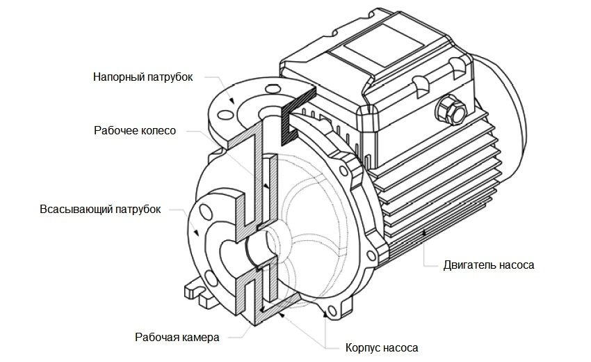 The structure and device of the circulation pump