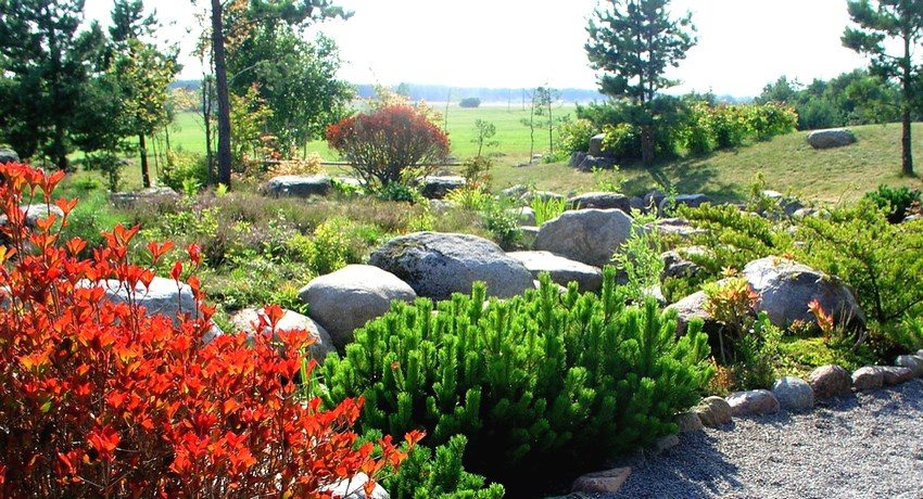 Rockery must harmoniously fit into the surrounding landscape