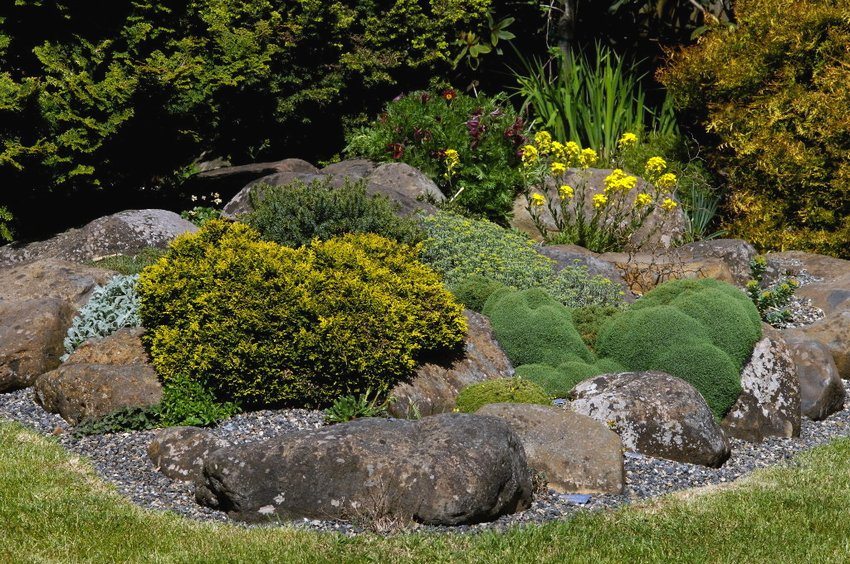 Rockery, created by yourself, in the courtyard of a country house