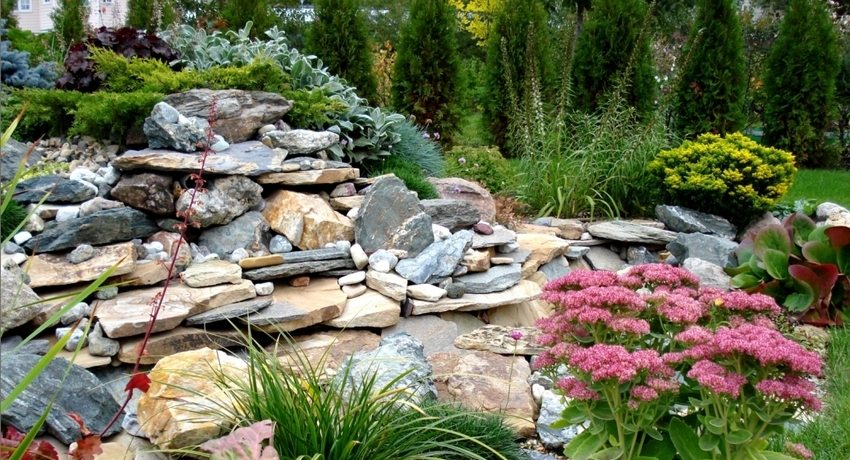 Alpine slide with stones in the country with your own hands: a photo of rockeries with step-by-step instructions