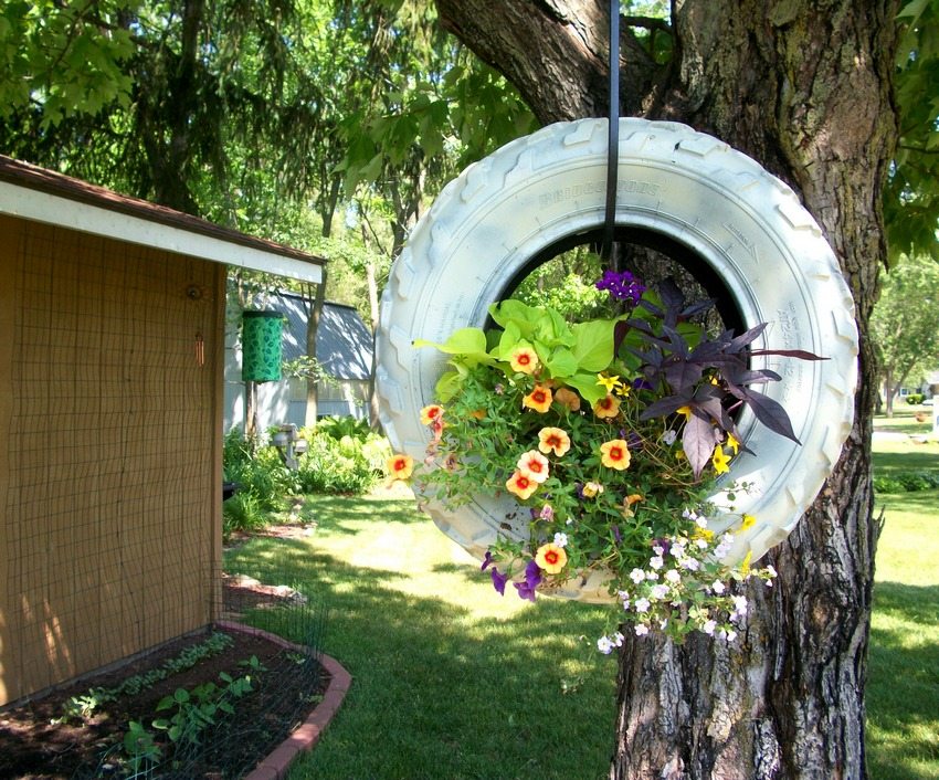 Dotrajala automobilska guma može biti jedinstveni ukrasni predmet za vrt