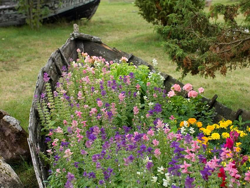 Various vehicles can act as a flower bed - from a bicycle to a boat