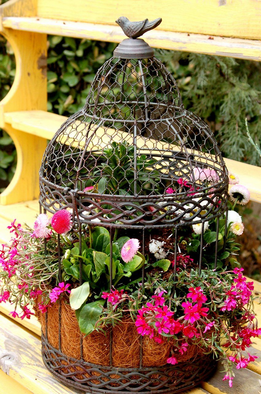 An old birdcage can be a good base for a flower bed