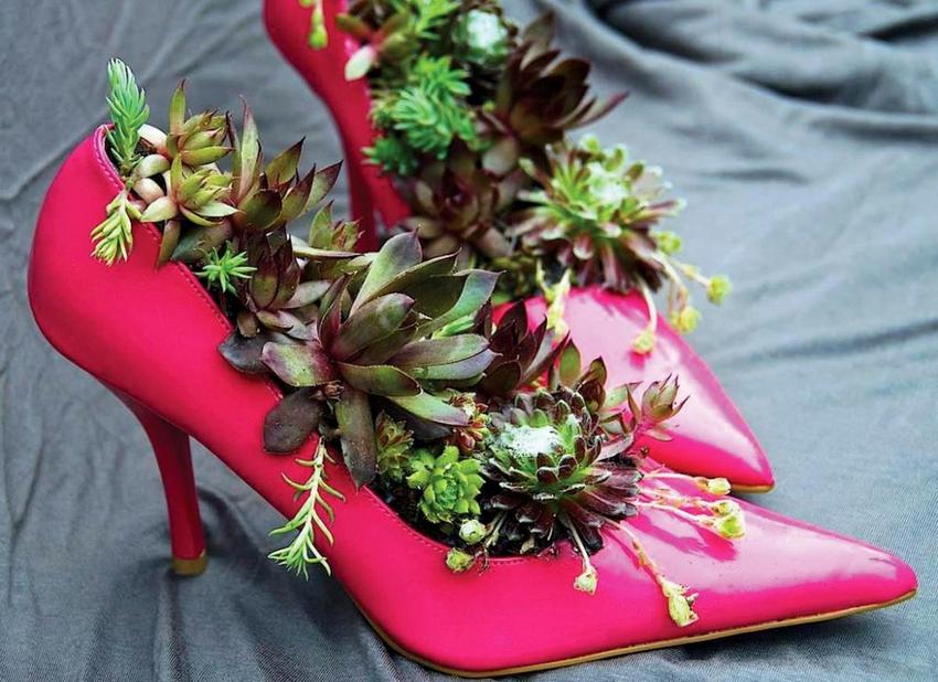 Mini blomsterbed arrangeret i sko ser interessant og usædvanligt ud