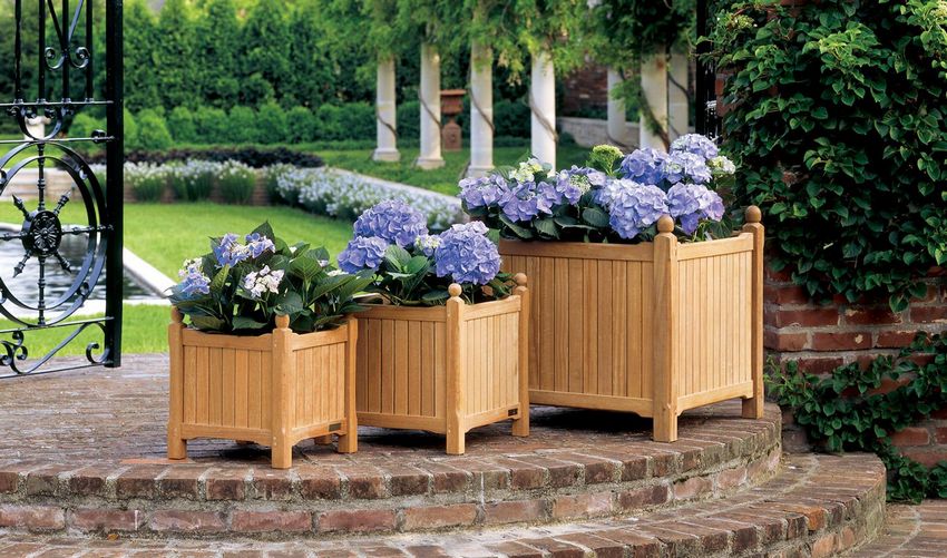 Flowers growing in wooden boxes - a mobile and attractive-looking flower bed option