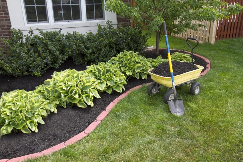 An important stage in the device of a flower bed is preparing the soil for planting plants