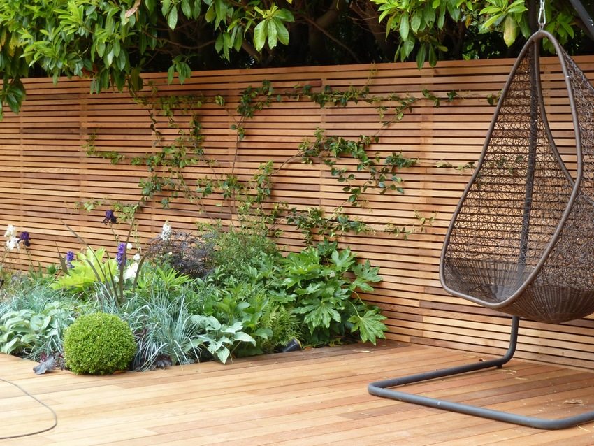 A stylish wooden fence is decorated with climbing plants