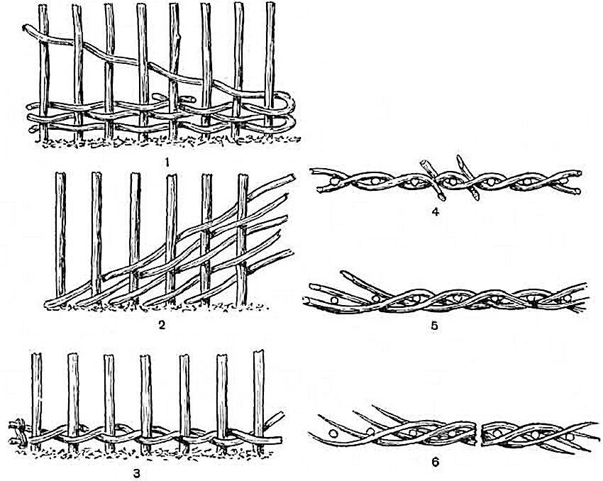 Various ways of weaving a hedge from a vine