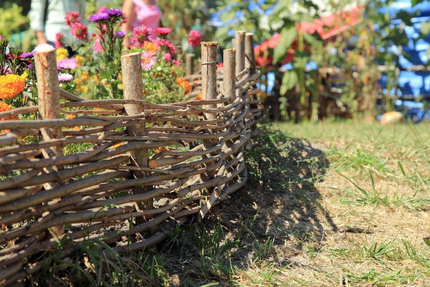 Horizontal braided hedge frames the flower bed