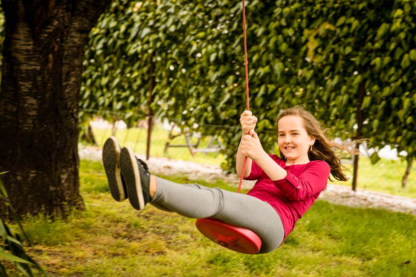 Children's swing suspended from a tree on a rope