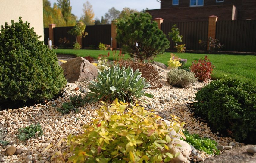 Gravel is often used as drainage for rockeries