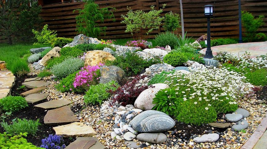 O varietate de pietre și plante va crea un sentiment de frumusețe naturală autentică în curte
