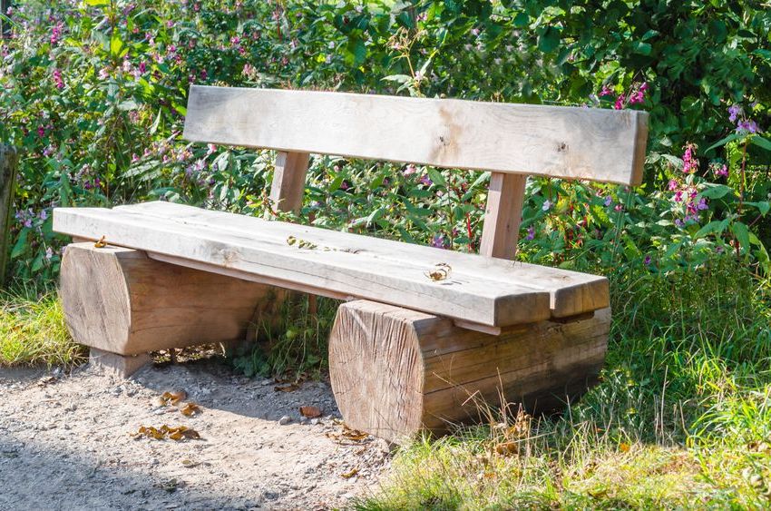 A log bench can become an unusual decoration of the local area