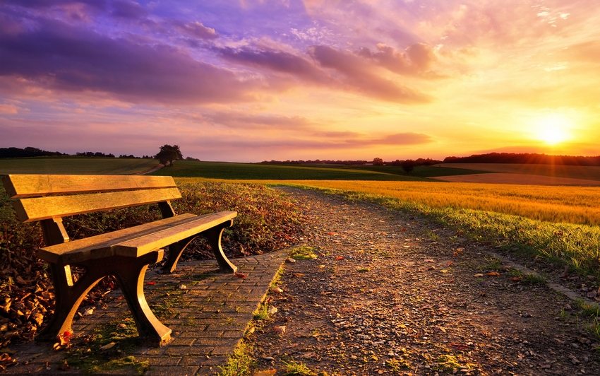 Wooden benches are beautiful and highly environmentally friendly