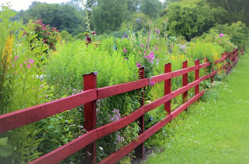 Country style wooden hedge painted in vibrant color