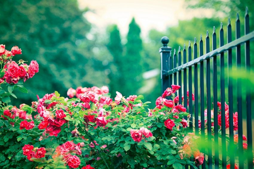 Metalne ograde uglavnom se izrađuju s prazninama
