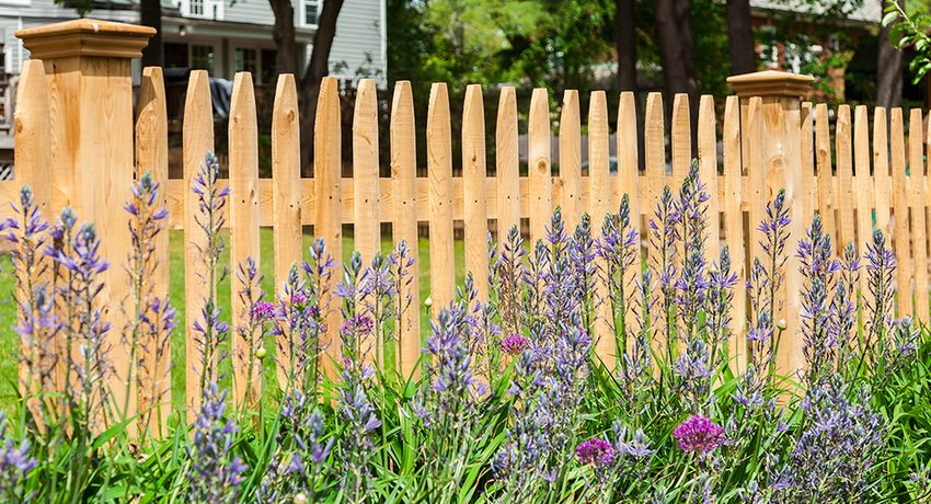 A beautiful fence gives the site a neat and tidy look