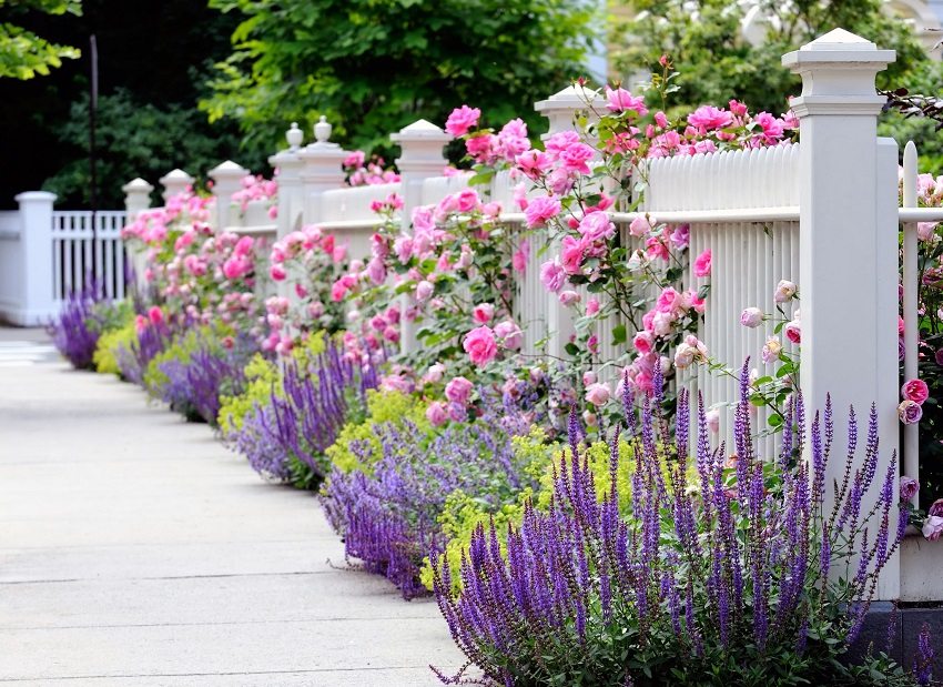 Dekorativní bílý plot zdůrazňuje krásu malebné květinové zahrady