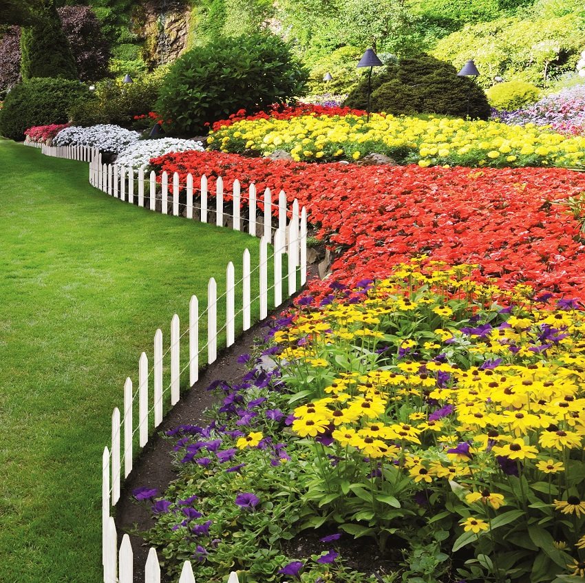 A decorative fence made of white picket fences is beautifully combined with a colorful flower bed