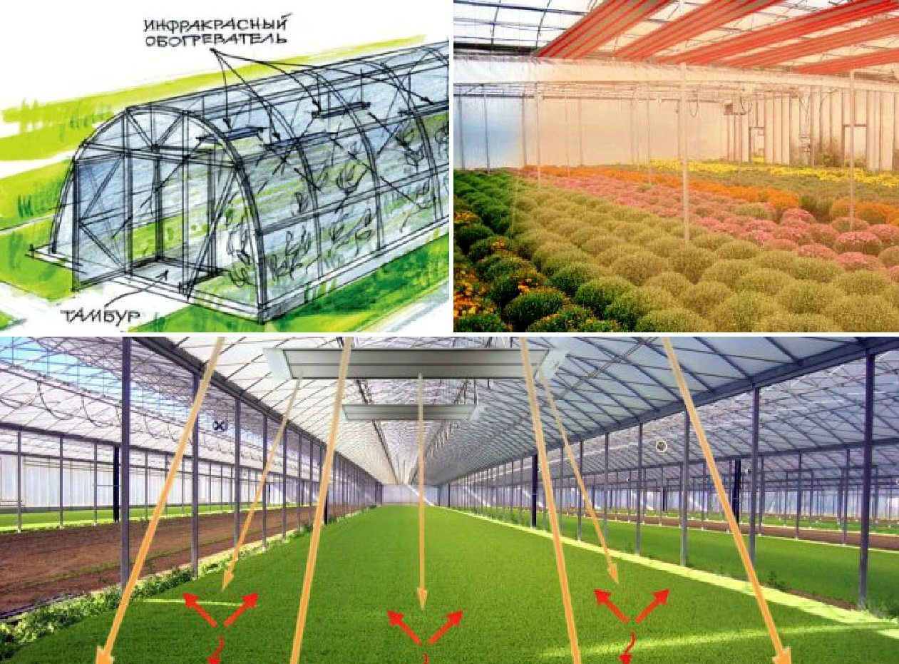 Infrared lamps for heating greenhouses in winter