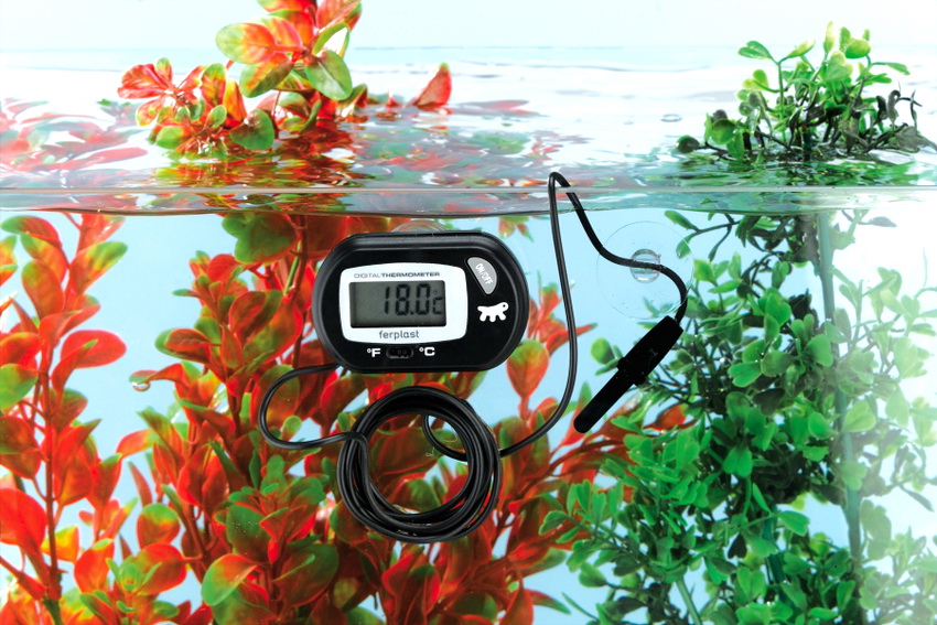 Electronic thermometers with an external sensor are often used to measure the temperature of the water in the aquarium.