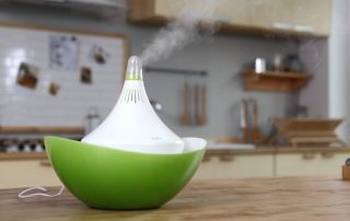 Which humidifier is better: how to choose the best device
