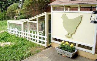 DIY chicken coop for 10 chickens: drawings and construction features