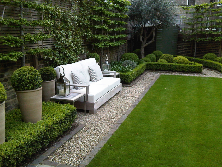 A beautiful green hedge is formed over several years under the condition of constant care of the plants