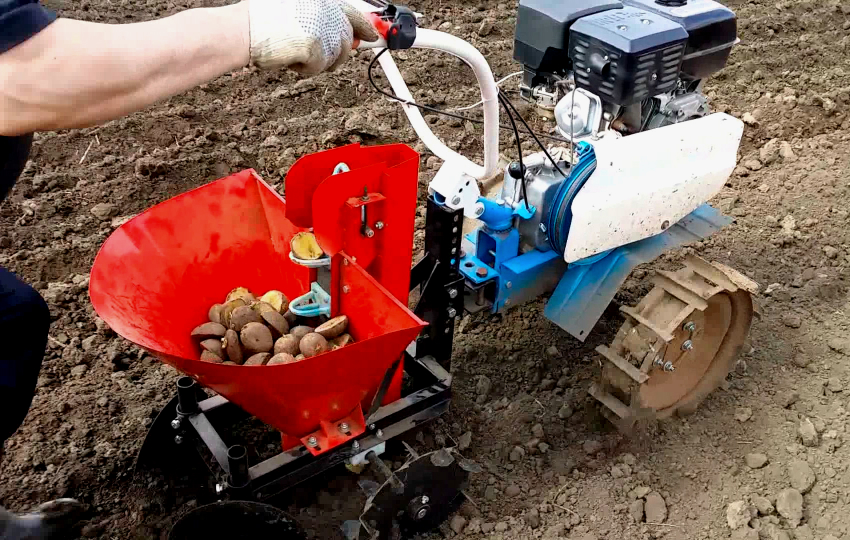 Motoblokker i Neva-serien brukes mye til å plante poteter