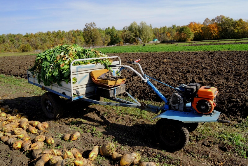 Mini-traktoren er praktisk å bruke for høsting av store områder