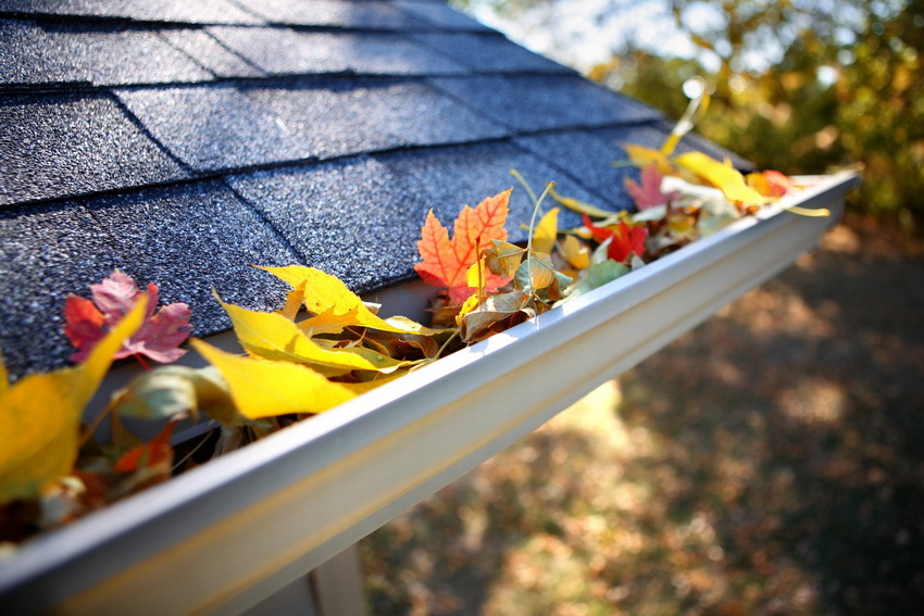 It is advisable to clean gutters from accumulated debris and leaves at least 2 times a year.