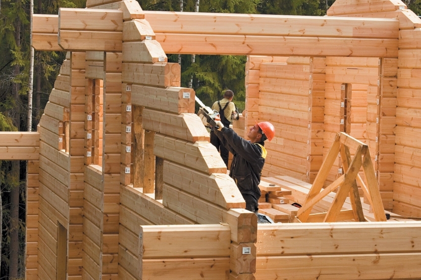You can build a house from laminated veneer lumber with your own hands using a ready-made project