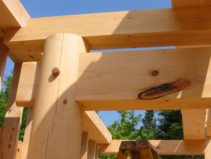 The quality of wood for building a house determines the duration of the operational life of the entire building