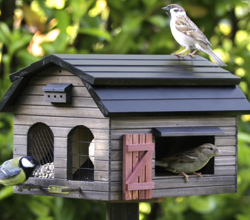 Velika drvena kućica za hranjenje ptica