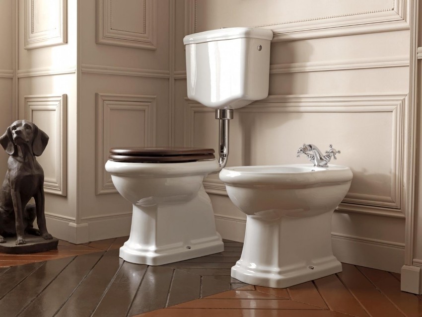 Toalettet er et obligatorisk emne for menneskelig hygiene, det kan betraktes som en av hovedforskjellene i moderne sivilisasjon