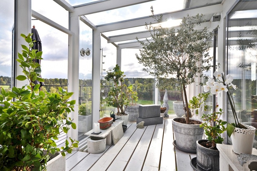 Good natural light for plants in the winter garden is the main factor that ensures their life.