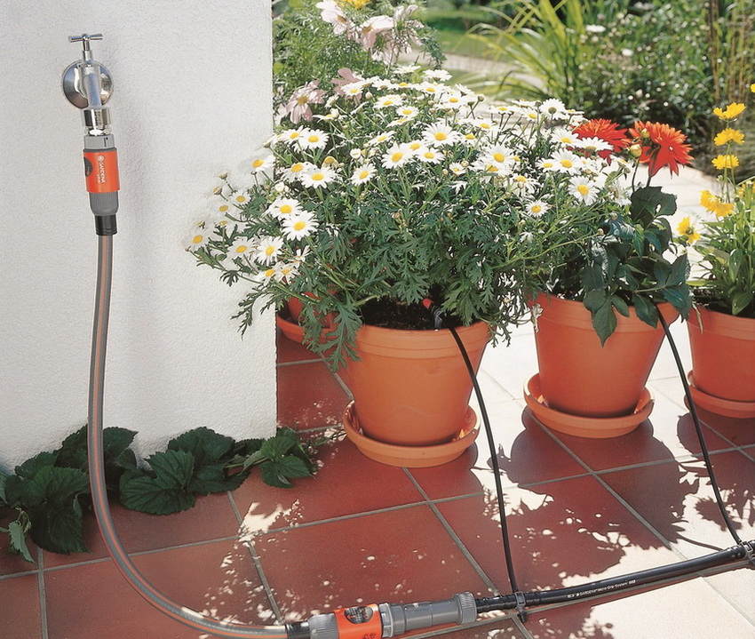 Udarea automată poate fi utilizată și pentru plantele în ghiveci în aer liber