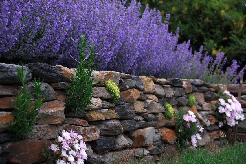 Stone is another popular material for decorative hedges.