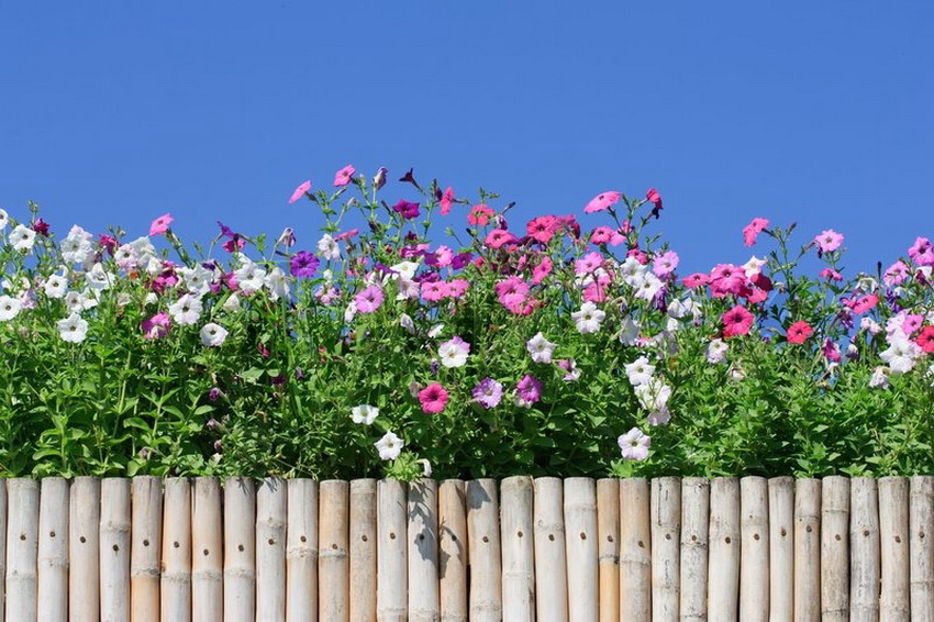 A decorative fence made of natural materials looks natural and organic