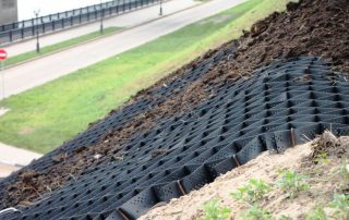 Geogrid for strengthening slopes, water bodies and other landscape elements